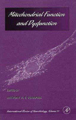 Mitochondrial Function and Dysfunction - Schapira, Anthony H V (Editor)