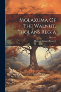 Molaxuma Of The Walnut, "juglans Regia