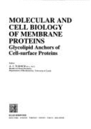 Molecular and Cell Biology of Membrane Proteins: Glycolipid Anchors of Cell-Surface Proteins