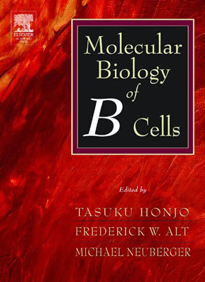 Molecular Biology of B Cells - Honjo, Tasuku (Editor), and Reth, Michael (Editor), and Radbruch, Andreas (Editor)