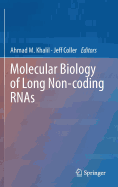 Molecular Biology of Long Non-Coding Rnas