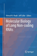 Molecular Biology of Long Non-Coding Rnas