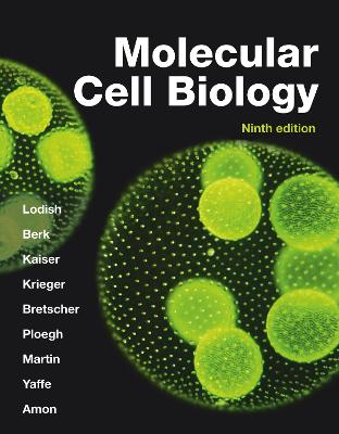 Molecular Cell Biology - Lodish, Harvey, and Berk, Arnold, and Kaiser, Chris