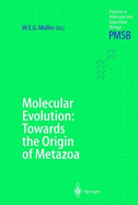 Molecular Evolution: Towards the Origin of Metazoa