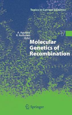 Molecular Genetics of Recombination - Aguilera, Andrs (Editor), and Rothstein, Rodney (Editor)