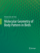 Molecular Geometry of Body Pattern in Birds