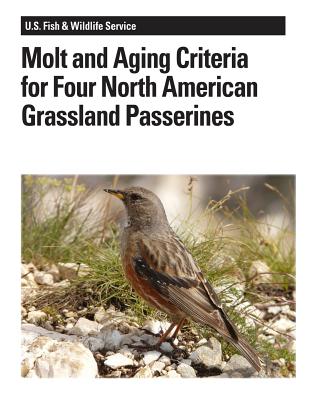 Molt and Aging Criteria for Four North American Grassland Passerines - Jones, Stephanie L, and Ruth, Janet M, and Interior, U S Department of (Contributions by)