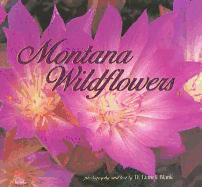 Montana Wildflowers
