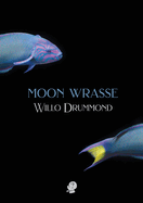 Moon Wrasse