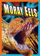 Moray Eels