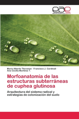 Morfoanatom?a de las estructuras subterrneas de cuphea glutinosa - Thevenon, Mario Alberto, and Cardinali, Francisco J, and Mart?nez T, Ana Cecilia