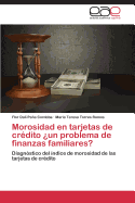 Morosidad En Tarjetas de Credito Un Problema de Finanzas Familiares?