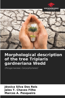 Morphological description of the tree Triplaris gardneriana Wedd - Silva Dos Reis, Jssica, and Chaves Filho, Jales T, and A Pesqueiro, Marcos