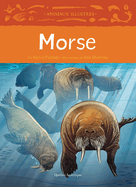 Morse