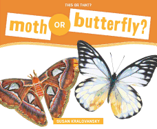 Moth or Butterfly?