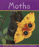 Moths