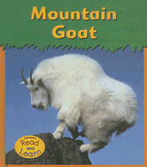 Mountain Goat