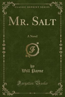 Mr. Salt: A Novel (Classic Reprint) - Payne, Will