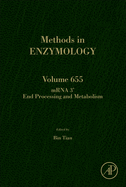 Mrna 3' End Processing and Metabolism: Volume 655