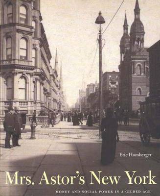 Mrs. Astor's New York: Money and Social Power in a Gilded Age - 