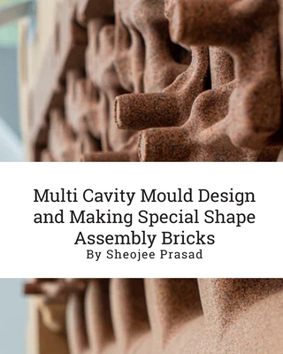 Multi Cavity Mould Design and Making Special Shape Assembly Bricks - Prasad, Sheojee