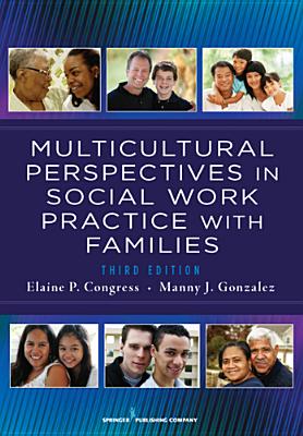 Multicultural Perspectives In Social Work Practice with Families, 3rd Edition - Congress, Elaine (Editor), and Gonzalez, Manny (Editor)
