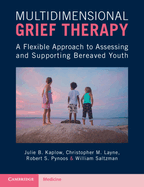 Multidimensional Grief Therapy: A Flexible Approach to Assessing and Supporting Bereaved Youth