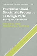 Multidimensional Stochastic Processes as Rough Paths: Theory and Applications