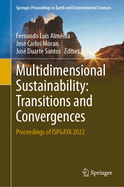Multidimensional Sustainability: Transitions and Convergences: Proceedings of ISPGAYA 2022