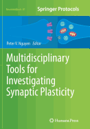 Multidisciplinary Tools for Investigating Synaptic Plasticity