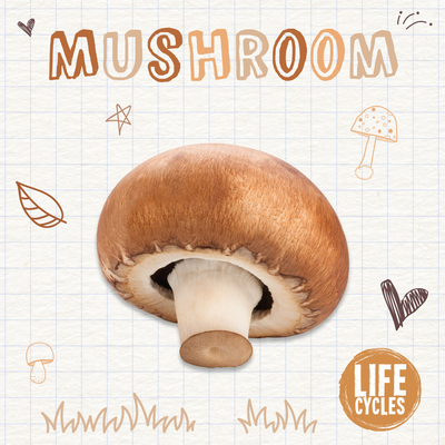 Mushroom - McHale, Brenda