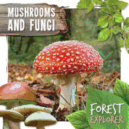 Mushrooms and Fungi