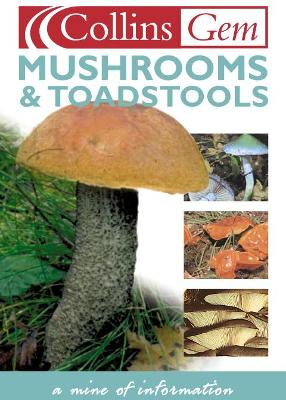 Mushrooms and Toadstools - Harding, Patrick