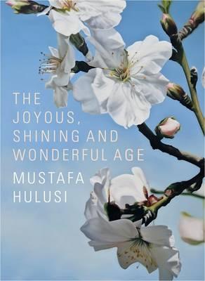 Mustafa Hulusi: The Joyous, Shining And Wonderful Age - Rosenthal, Norman, and Kyriacou, Sotiris, and Craddock, Sacha