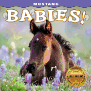 Mustang Babies!