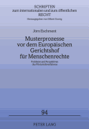 Musterprozesse VOR Dem Europaeischen Gerichtshof Fuer Menschenrechte: Probleme Und Perspektiven Des Piloturteilsverfahrens