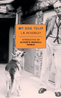 My Dog Tulip - Ackerley, J R, and Thomas, Elizabeth Marshall (Introduction by)