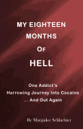 My Eighteen Months of Hell: One Addicts Harrowing Descent in Cocaine ... and Out Again