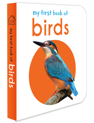 My First Book of Birds - Wonder House Books