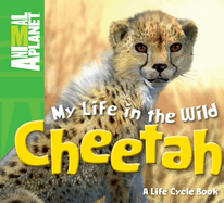 My Life in the Wild: Cheetah: Cheetah