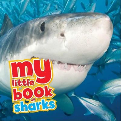 My Little Book of Sharks - de le Bdoyre, Camilla