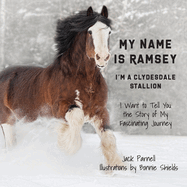 My Name is Ramsey: I'm a Clydesdale Stallion