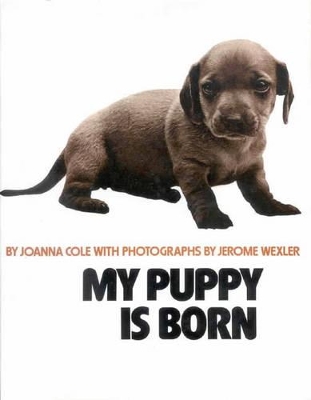 My Puppy is Born - Cole, Joanna