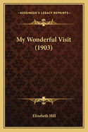 My Wonderful Visit (1903)