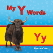 My y Words