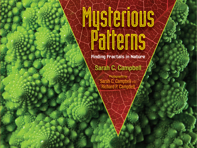 Mysterious Patterns: Finding Fractals in Nature - Campbell, Sarah C, and Campbell, Richard P (Photographer)