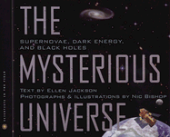 Mysterious Universe: Supernovae, Dark Energy, and Black Holes