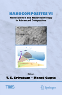 Nanocomposites VI: Nanoscience and Nanotechnology in Advanced Composites