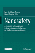 Nanosafety: A Comprehensive Approach to Assess Nanomaterial Exposure on the Environment and Health