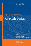 Nanoscale Devices: Fabrication, Functionalization, and Accessibility from the Macroscopic World